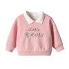 A new Korean-style rabbit-embroidered hoodie for girls in autumn 2024, a stylish top for babies in spring and autumn Item Picture